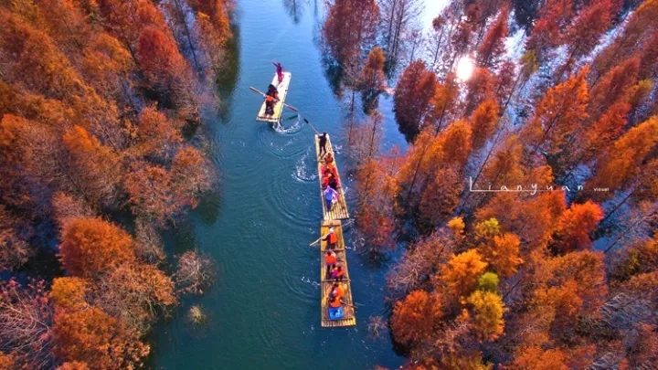落羽杉濕地公園水上浮橋現場照-星沙浮筒9